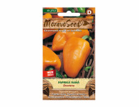 Paprika zeleninová raná oranžová DVORANA 64461 - VÝPRODEJ