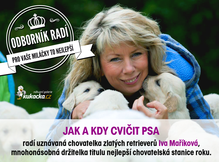 Odborník radí